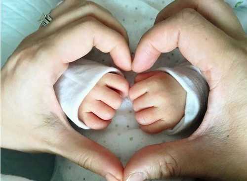 2026年安徽供卵医院综合排行榜：前三甲成功率突破65%