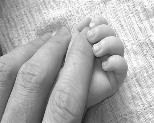 2026年安徽省立医院供卵试管成功率突破92%：深度解析高效助孕全流程